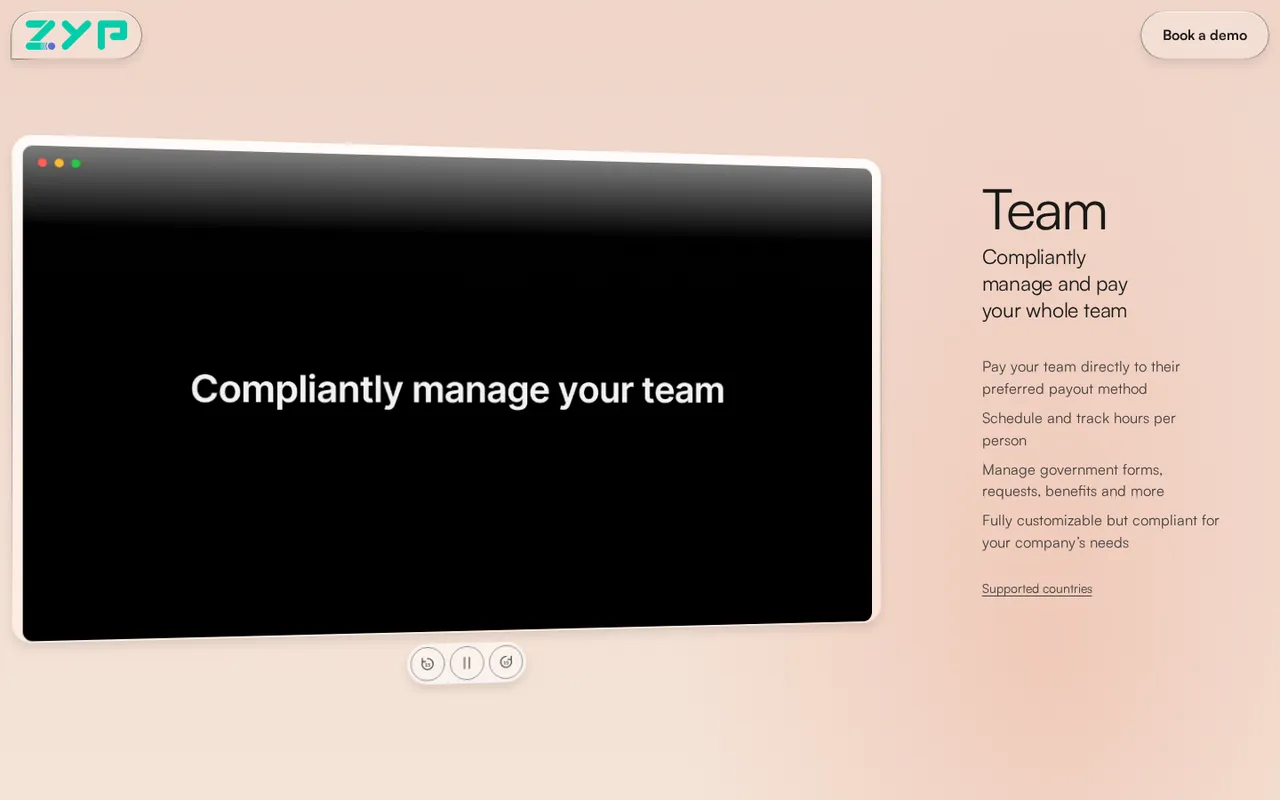 The Team section of www.zyp.co: a dark product window with playback controls under it, beside the heading 'Team' and a list of what it does